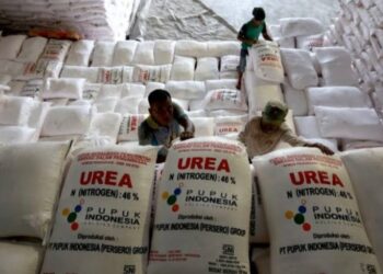 Persoalan Rekrutmen Distributor Pupuk di Bireuen, Masalah TDG dan Dugaan Intervensi