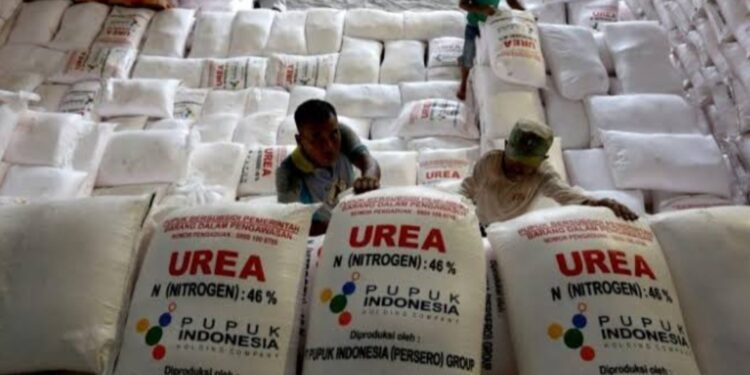 Persoalan Rekrutmen Distributor Pupuk di Bireuen, Masalah TDG dan Dugaan Intervensi