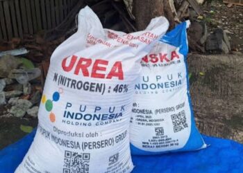 Harga Pupuk Tinggi, PI Diminta Selektif loloskan Distributor di Aceh Utara