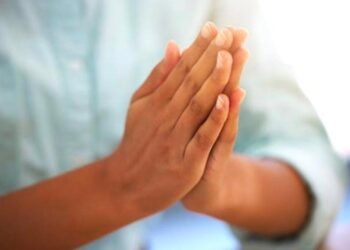 Klarifikasi Koordinator PPA Terkait Informasi Keliru Soal Proyek P3A, Mohon Maaf Pada NJ