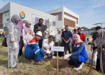 Peringati Hari Lingkungan Hidup Sedunia, PHR Zona 1 Tanam Lebih dari 4.000 Pohon