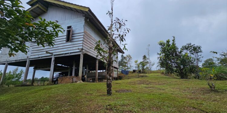 Marak Pencurian di Gunung Salak Rumah dan Warung Dibobol