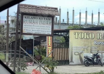 Kayu-Kayu Haram dan Panglong Haji Nini, Ketika Bisnis Menggerus Hutan Aceh Utara