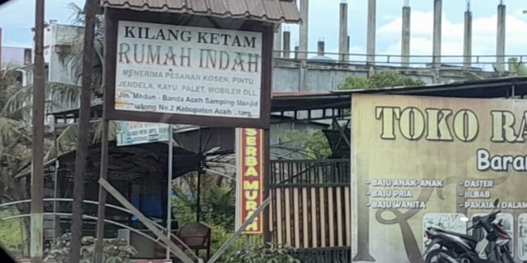 Kayu-Kayu Haram dan Panglong Haji Nini, Ketika Bisnis Menggerus Hutan Aceh Utara