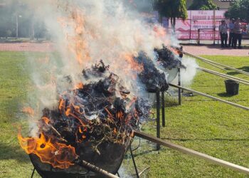 HUT Bhayangkara ke-79, Polres Aceh Utara Bakar 73 Kg Ganja dan Hancurkan Sabu