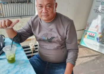 Panglong kayu Ilegal di Aceh Utara dan Lhokseumawe Menjamur, Koordinator Satgas PPA: Desak APH Tindak Tegas