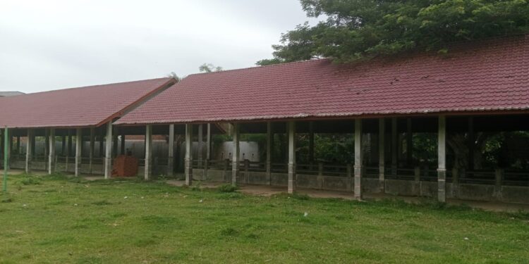 Pasar Hewan Punteut Mangkrak Bertahun-Tahun, Warga Berharap Bisa Hidupkan Ekonomi Masyarakat