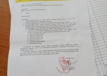 Satgas PPA Minta Data Pengelolaan Dana Kesehatan di Puskesmas Lhokseumawe