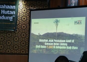 PT IBAS Rampas Tanah Ulayat Dikawasan Hutan Produksi