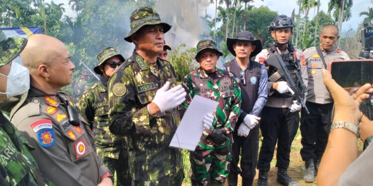 Dandim 0103/Aut Turun Langsung Bersama Tim Gabungan Musnahkan Lahan Ganja di Kecamatan Sawang