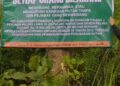 Dugaan Penguasaan Hutan Lindung di Leubok Pusaka dan Pirak Timu, Warga Minta Penegak Hukum Turun Tangan