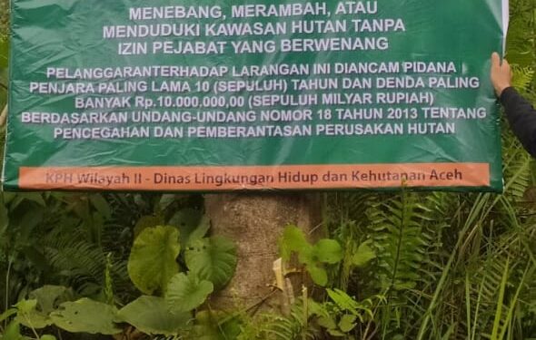 Dugaan Penguasaan Hutan Lindung di Leubok Pusaka dan Pirak Timu, Warga Minta Penegak Hukum Turun Tangan