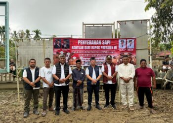 Tak Ada Gampong yang Tertinggal, 1.109 Sapi Bantuan Presiden Disalurkan di Aceh Utara