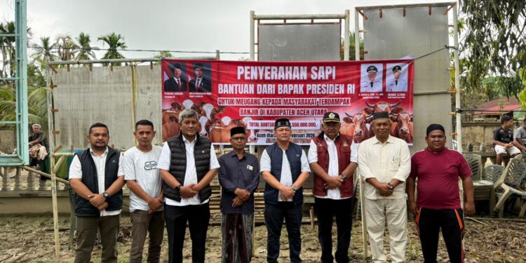 Tak Ada Gampong yang Tertinggal, 1.109 Sapi Bantuan Presiden Disalurkan di Aceh Utara