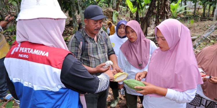 Ragam Program CSR PHE NSO: Dari Beasiswa hingga Tanggap Bencana